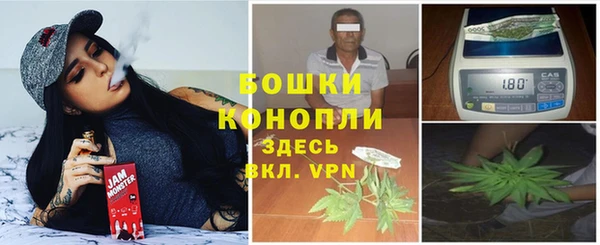гидропоника Няндома