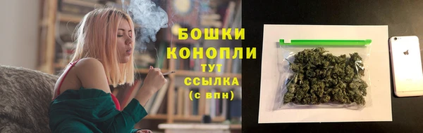 гидропоника Няндома