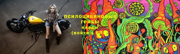 амф Весьегонск