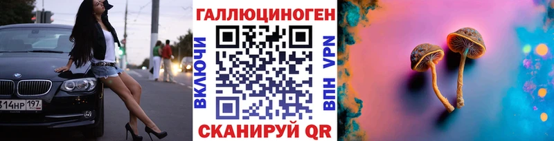 Галлюциногенные грибы MAGIC MUSHROOMS  где продают наркотики  Белоозёрский 